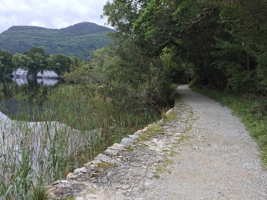 Kiesweg neben See und Wald